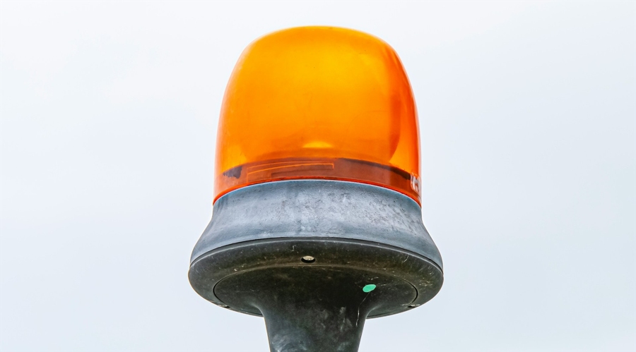 解锁新市场！梅州观赏鱼 “游” 进马来西亚